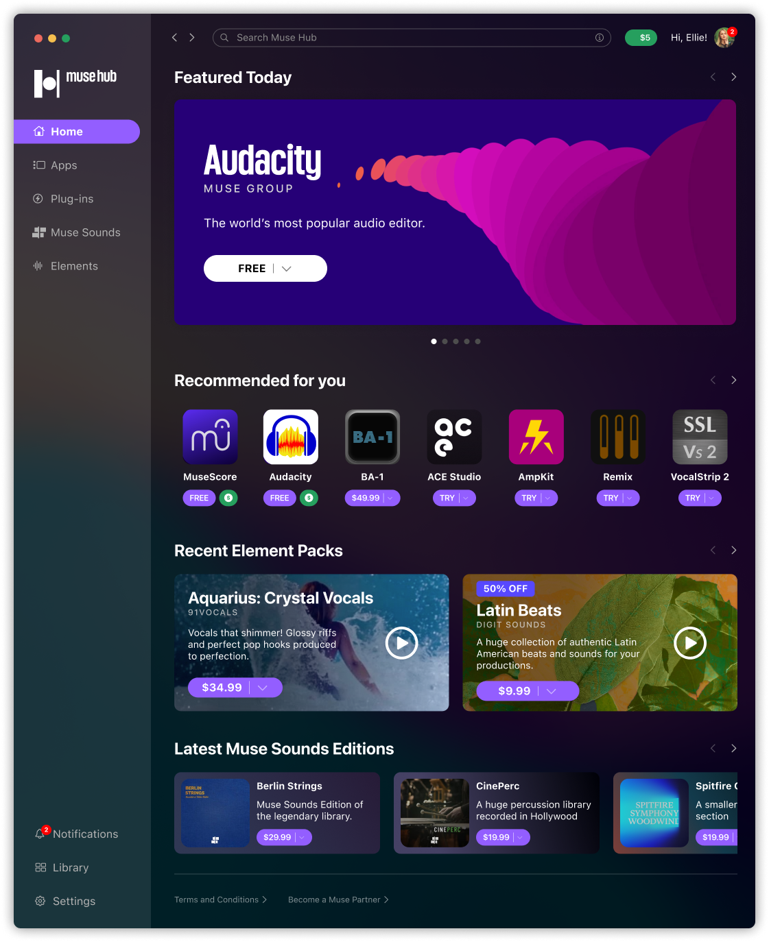 Muse Hub Preview.png